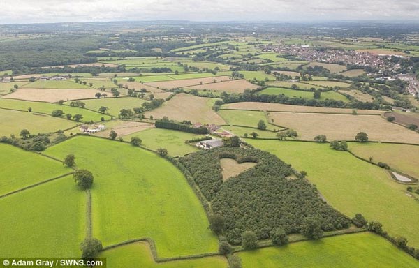 Aerial photograph reveals widower's secret heart-shaped tribute