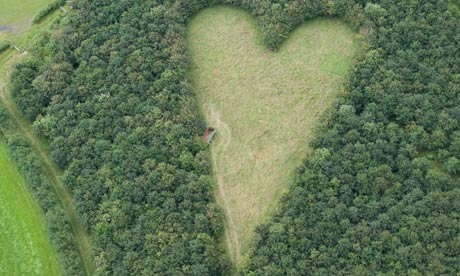 Aerial photograph reveals widower's secret heart-shaped tribute