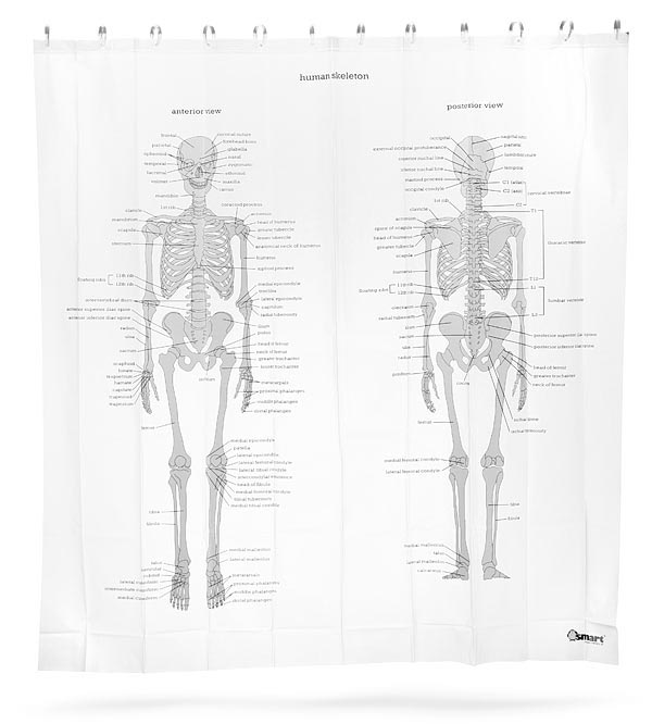 Human Skeleton Shower Curtain