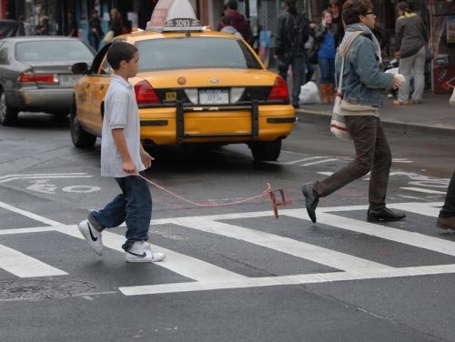 Invisible Dogs in Brooklyn