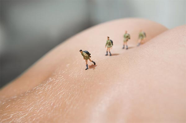 Miniature Art