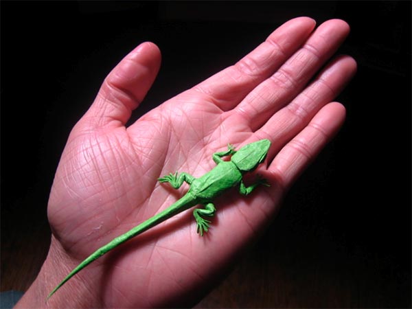 Lizard Origami