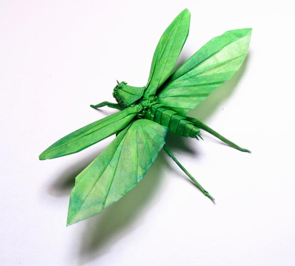 Lizard Origami