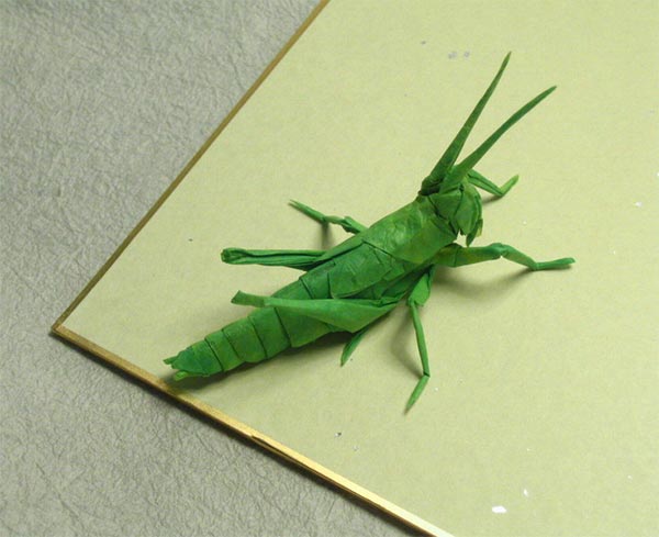Locust Nymph Origami