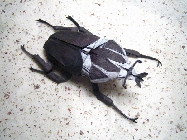 Goliath Beetle Origami