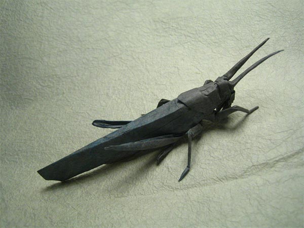 Locust Origami