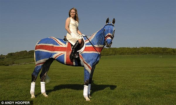 Painting on Horse