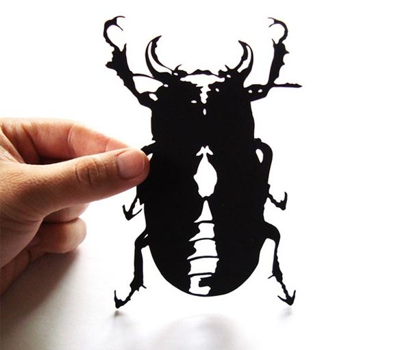 Paper-cut Beetle