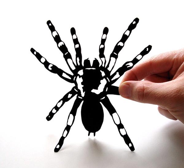 Paper-cut Tarantula