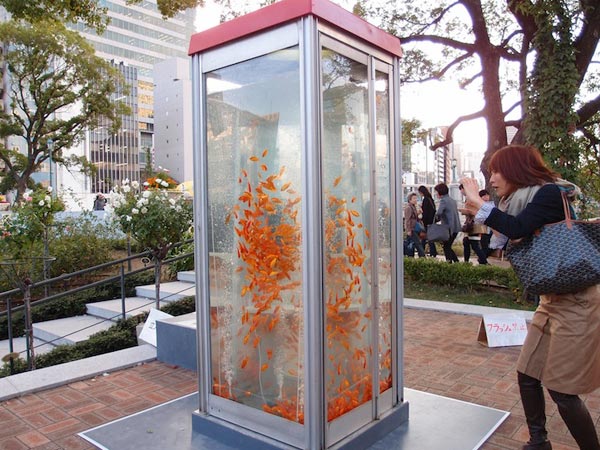 Phone Booth Aquariums