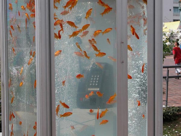 Telephone Booth Aquariums