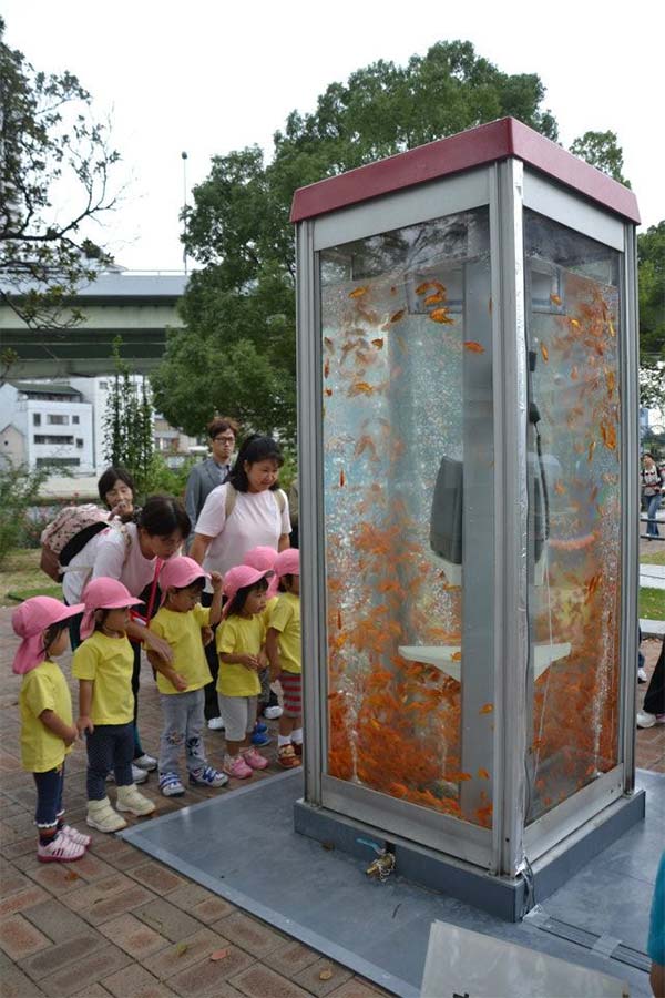 Phone Booth Transformed into Goldfish Aquarium