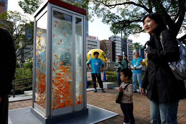 Phone Booth Transformed into Goldfish Aquarium