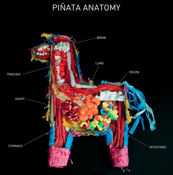 Pinata Anatomy