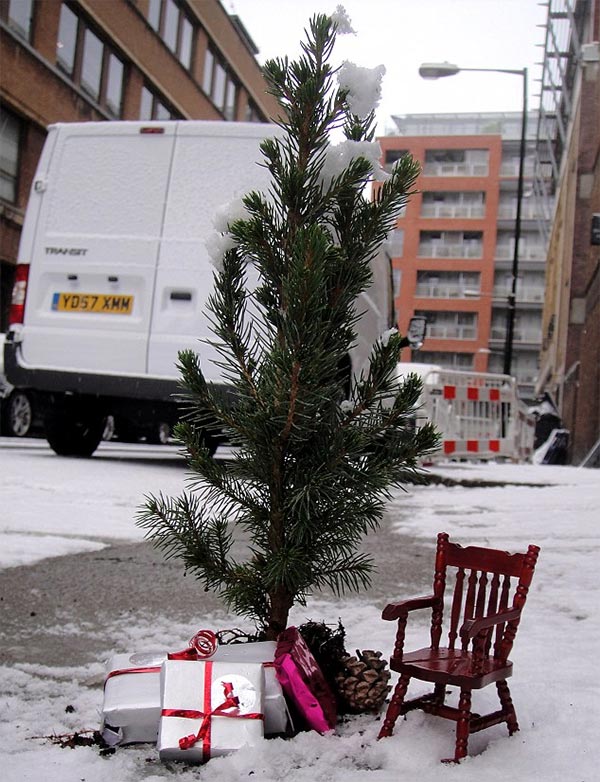 Miniature Pothole Gardens