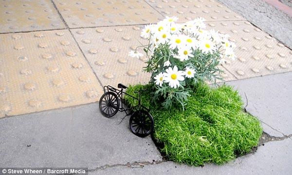 Miniature Pothole Gardens