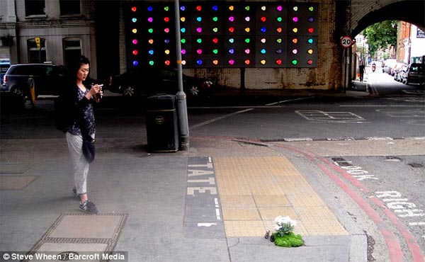 Miniature Pothole Gardens