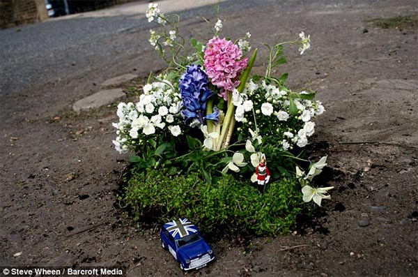 Miniature Pothole Gardens