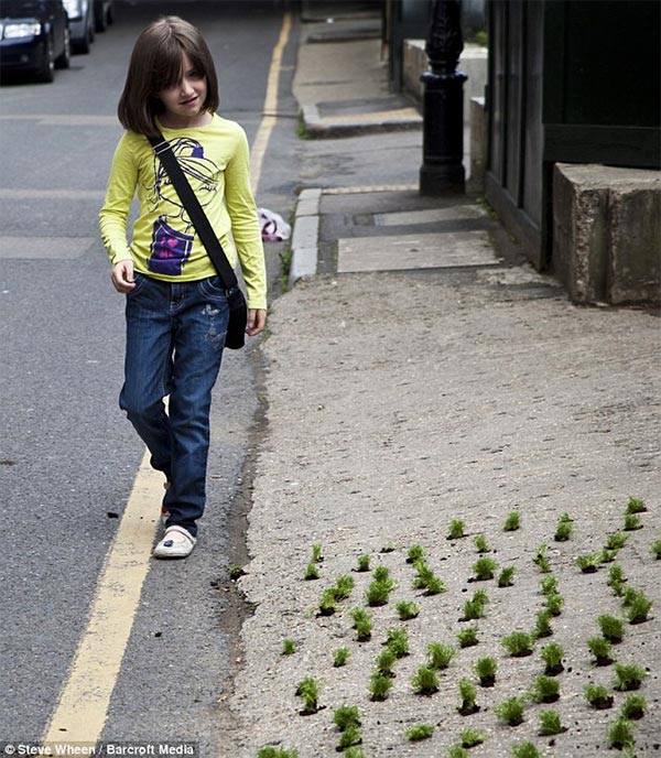 Miniature Pothole Gardens