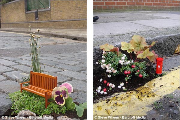 Miniature Pothole Gardens