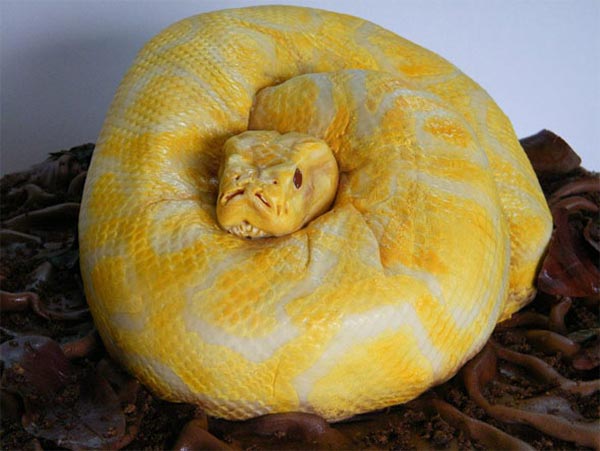 Snake Cake by Francesca Pitcher