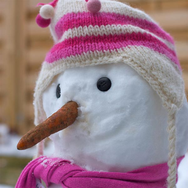 Snowman Inspiration Photography