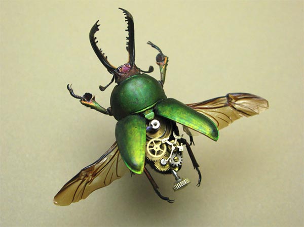 Steampunk Bugs