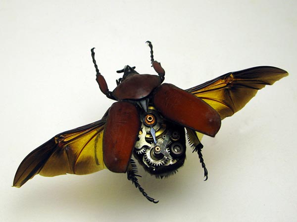 Steampunk Insects