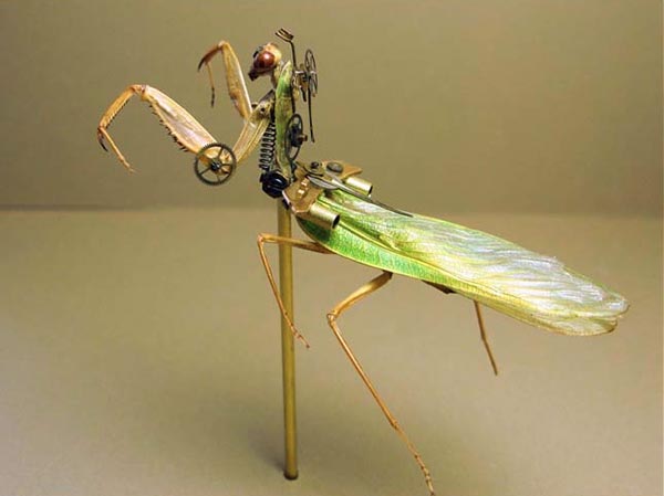 Robotic Insects