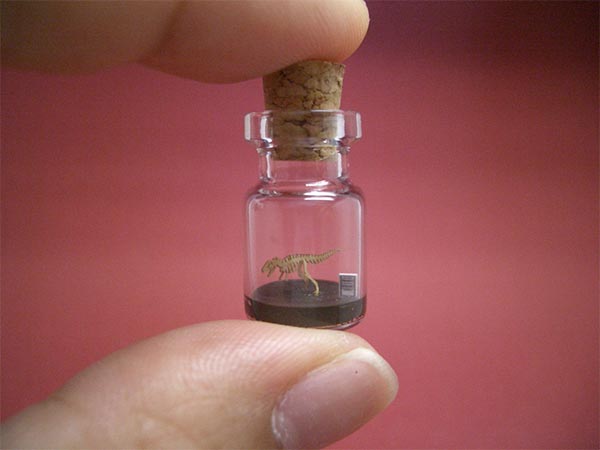 Tiny world in a bottle