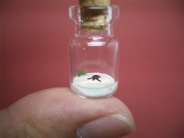 Tiny world in a bottle