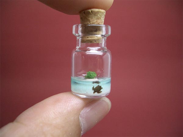 Tiny world in a bottle