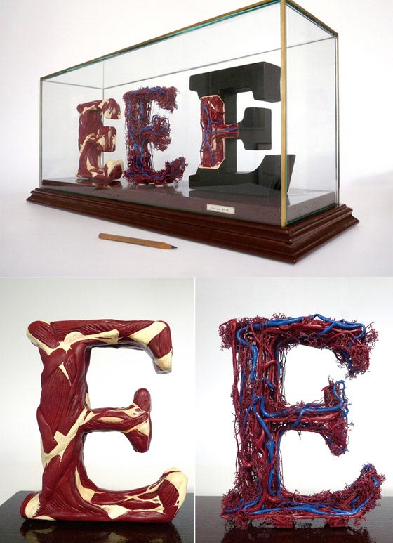 Typography Sculptures: Evolution of Typography