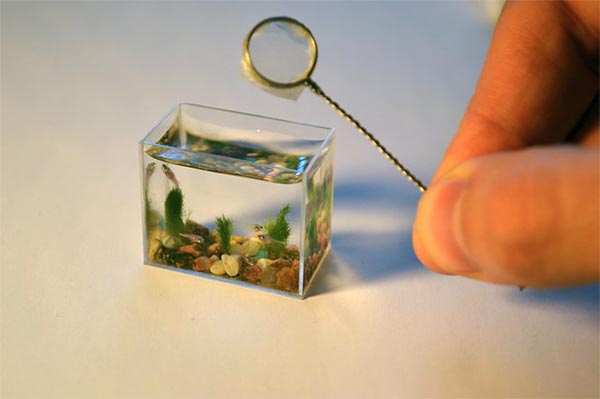 World's Smallest Aquarium