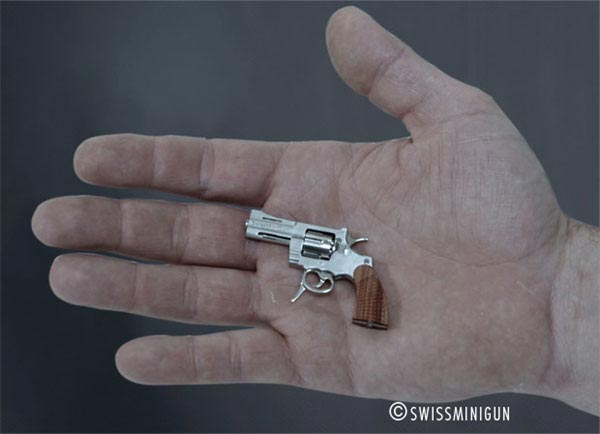 World's Smallest Gun