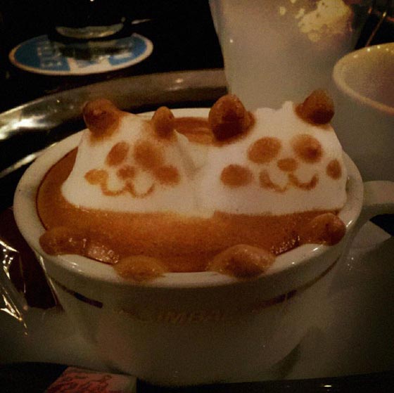 Amazing Coffee Art