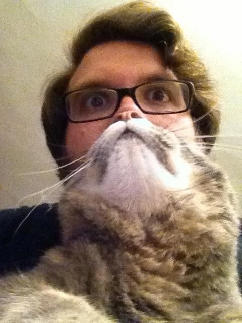 Funny Cat Beard