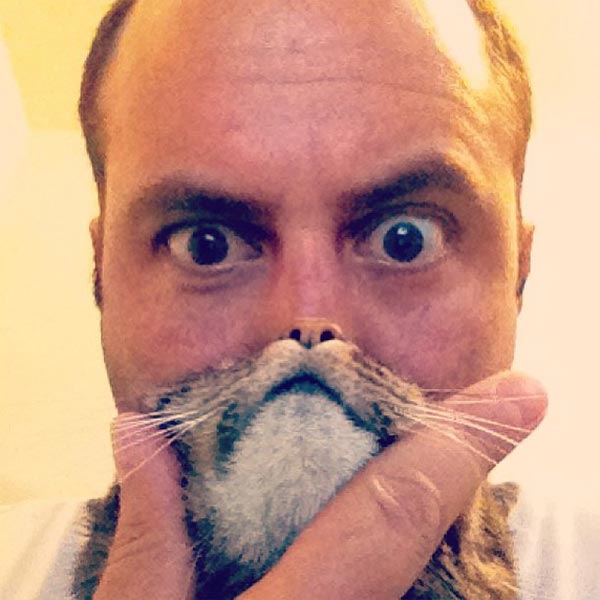 Cat Bearding