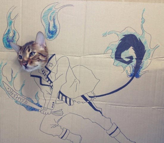 Cat's Cardboard Cosplay