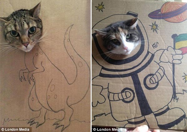 Cat's Cardboard Cosplay