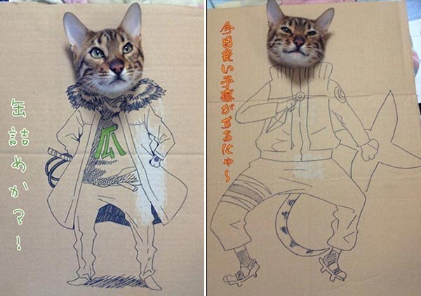 Cat's Cardboard Cosplay