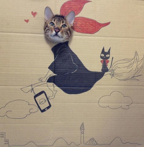 Cat's Cardboard Cosplay