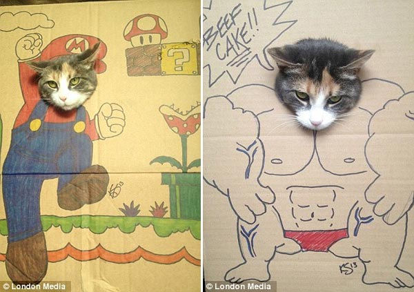 Cat's Cardboard Cosplay