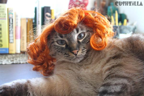 Wigs & Costumes For Pets