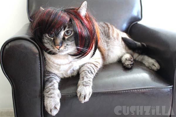 Wigs & Costumes For Pets