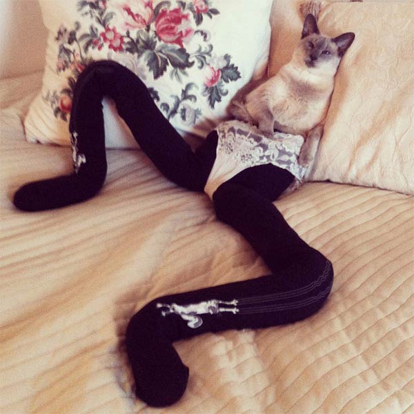 Cats Wearing Tights