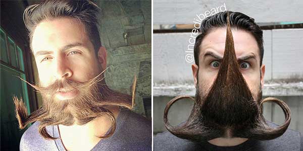 Incredible Beard