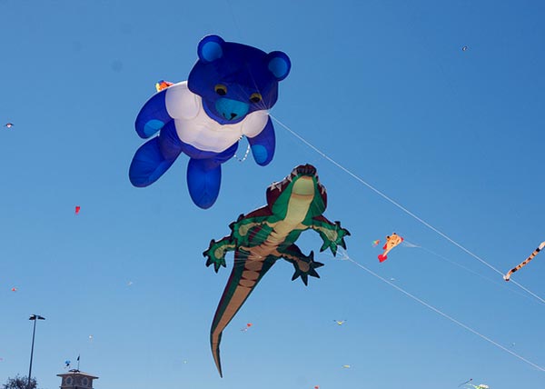 Creative Kites on Bondi Beach