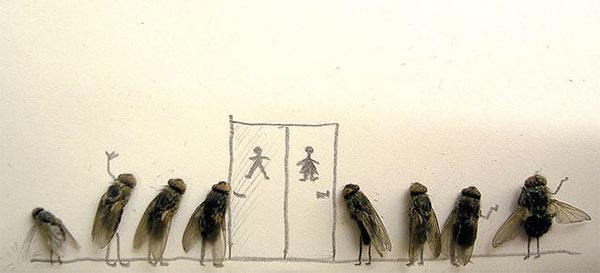 Dead Flies Art by Magnus Muhr