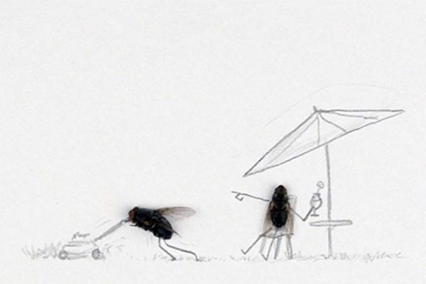 Dead Flies Art by Magnus Muhr